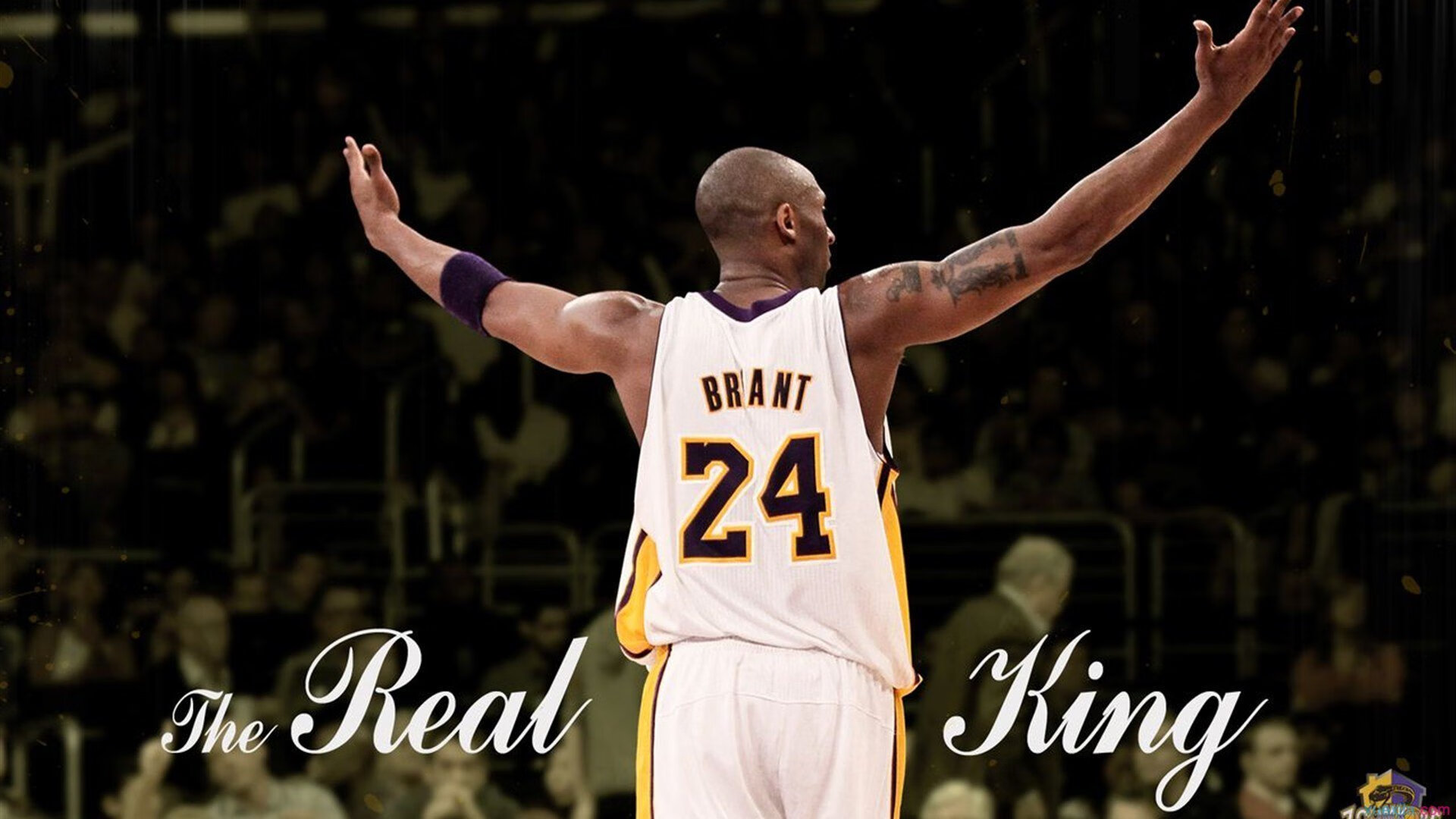 “牛仔3K亲子跑:亲子共跑,欢乐无限”