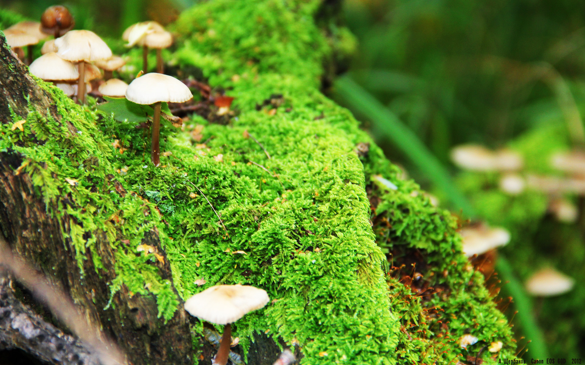 开云体育俱乐部官网-攻防大比拼：比赛中的精彩配合与技术细节，攻防战术基础配合教学与训练应注意哪些问题