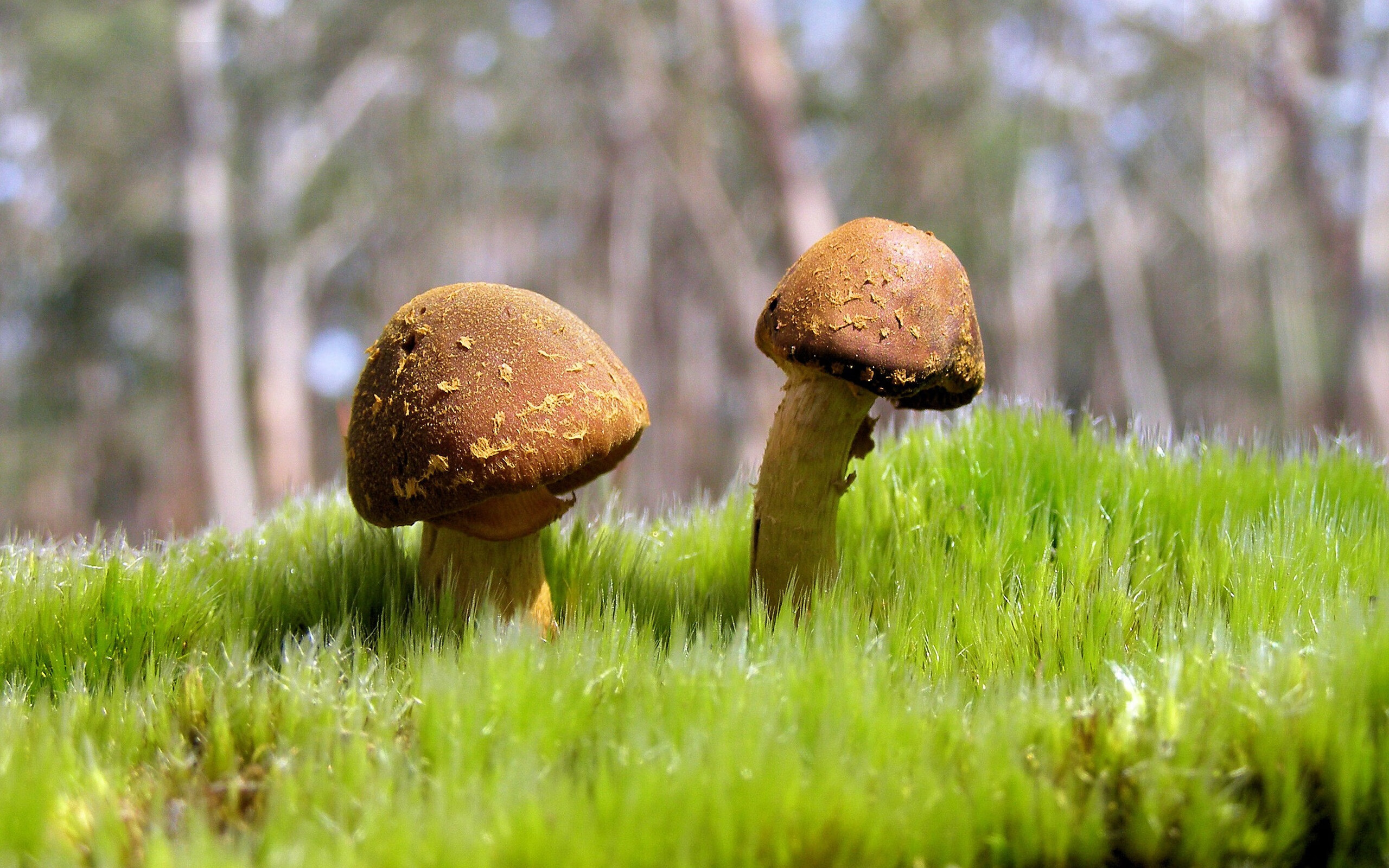 kaiyun体育综合-“金牛区城北体育馆：运动舞蹈赛，动感舞步与精湛技巧相结合，挑战自我极限！”