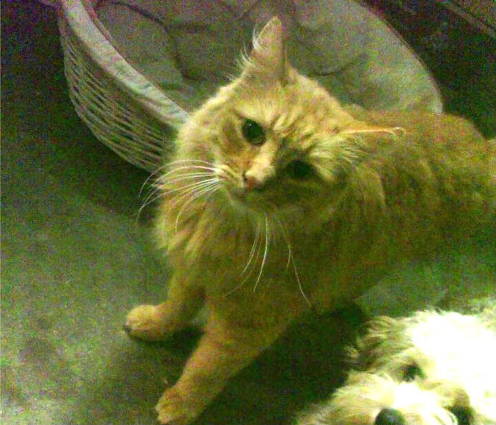 开云娱乐-中国三人篮球男队展现快速反击能力，中国男子三人篮球最好成绩