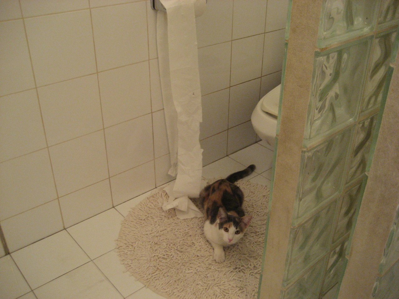 kaiyun中国官方网站-中国香港队在国际乒联混合团体世界杯中如何逆袭强敌，乒乓香港队